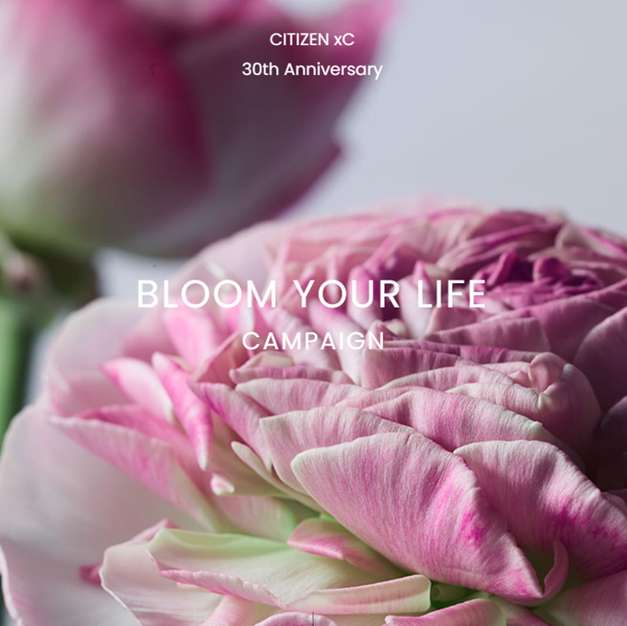 【チックタックエスパル仙台】xC花束プレゼントキャンペーン～母の日におすすめブランド🌷～