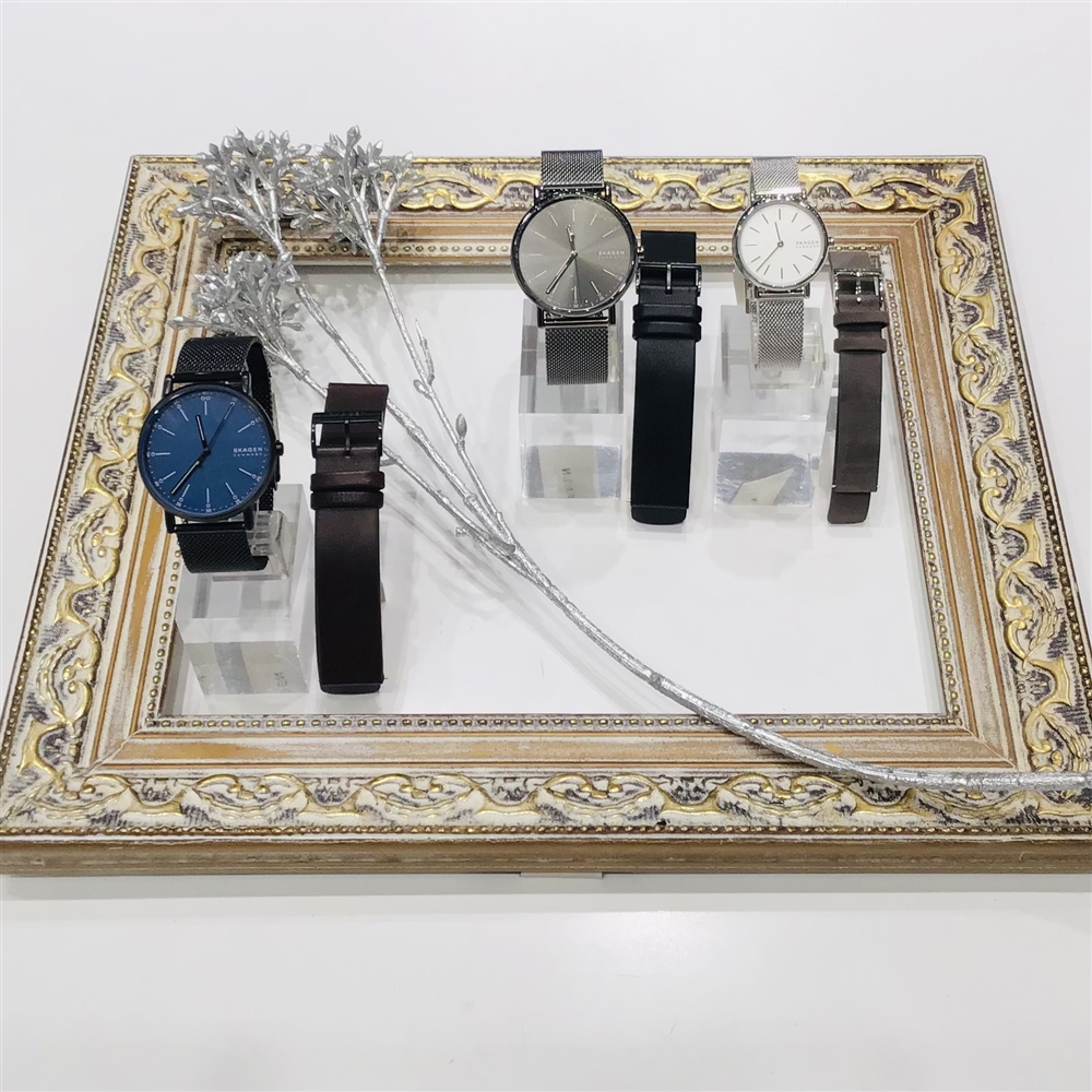 【エキスポ店】NEW 《SKAGEN》ベルトセット ギフトにもオススメ