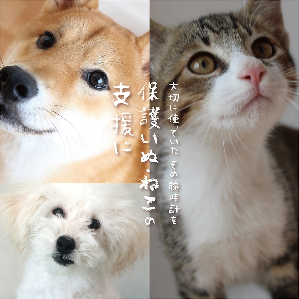 【期間限定】腕時計の下取りキャンペーン開催！【福岡パルコ店】