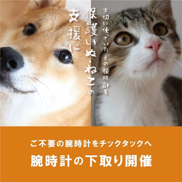 【アミュプラザ博多店】腕時計下取りで10%OFFキャンペーン開催中！保護いぬ•ねこの支援に。