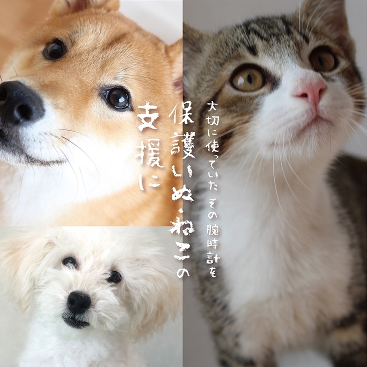 【予告】10/16(木)〜10/31(金) 腕時計下取りキャンペーン開催！保護いぬ・ねこの支援に。