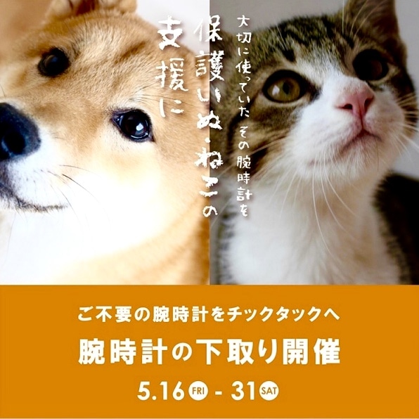 【TiCTACなんばパークス店＊information＊】今年も、開催致します！