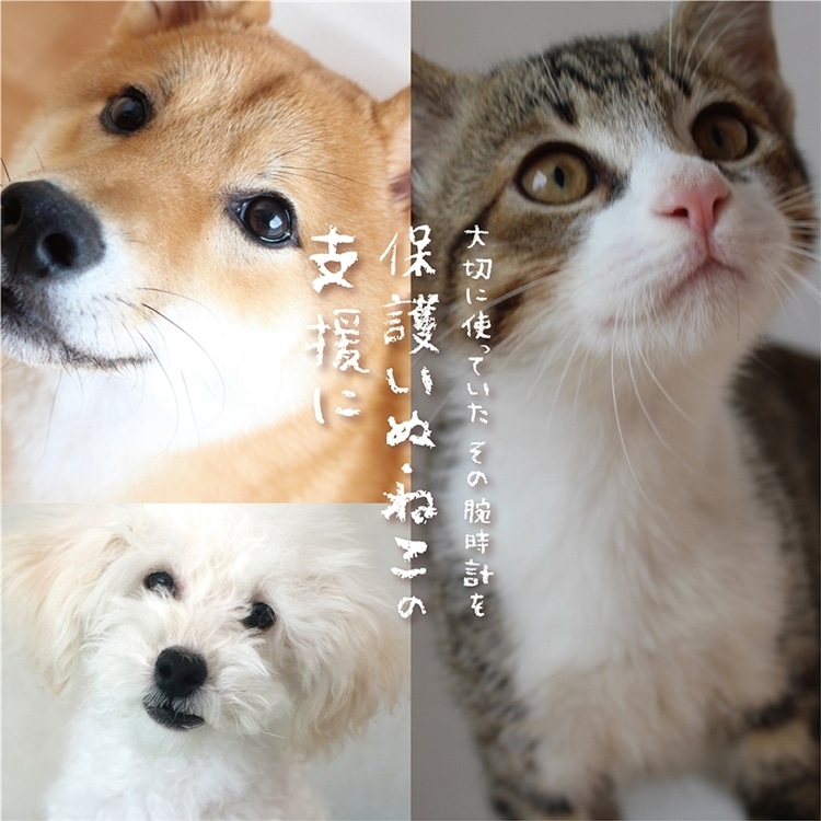 【金沢店】10/31まで！ご不要になった腕時計下取りします！『大切に使っていた腕時計を保護いぬ・ねこの支援に』