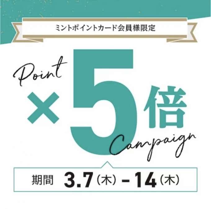 【ミントポイント５倍】ポイントカード会員限定スペシャルキャンペーン開催中‼︎【TiCTACミント神戸店】