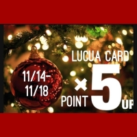 [本日から] 11／14〜LUCUA CARD POINT5倍！